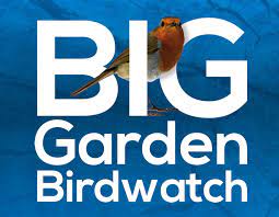 RSPB Big Bird Watch Weekend - Storth CE Primary School